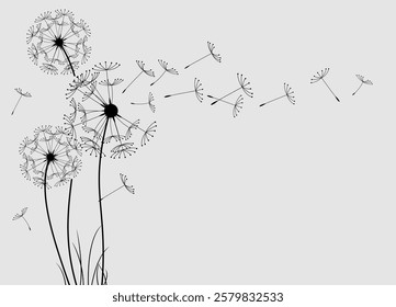 Wild flower dandelion in a vector style isolated. Vector flower for background, dandelion flying wall decal children's room 