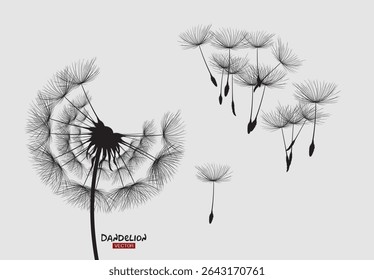 Wild flower dandelion in a vector style isolated. Vector flower for background