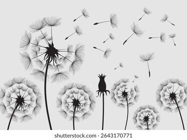 Wild flower dandelion in a vector style isolated. Vector flower for background