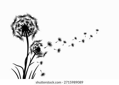 Dandelion de flor selvagem em um estilo de vetor isolado
