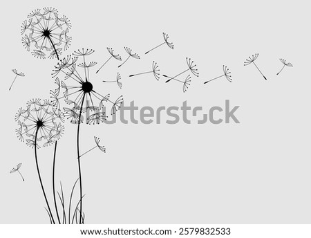 Wild flower dandelion in a vector style isolated. Vector flower for background, dandelion flying wall decal children's room 