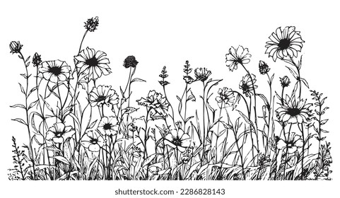 Wild flower field border hand drawn sketch in doodle style illustration