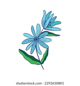 wild flower. Floral herbal plants with blue flowers. Delicate field and meadow wildflowers and herbs. Botanical flat vector illustration of delicate summer flora isolated on white background
