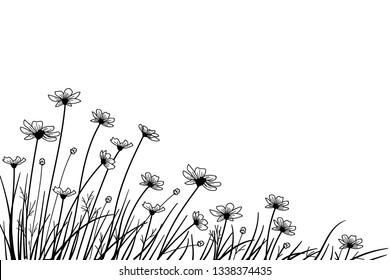 Wild Flower Grass Drawing Sketch Black and White