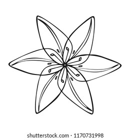 Wild flower icon. Simple illustration of wild flower vector icon for web design isolated on white background