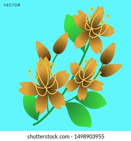 Wild flower isolate, Vector illustration design element