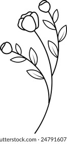 Arte de línea de flores silvestres. Flores dibujadas a mano aisladas planas. Ilustración vectorial.