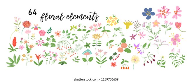 wild flower meadow illustration.vector floral elements collection. romantic hand drawn flowers and leaves collection. botanical elements collection. hand drawn floral doodles. 