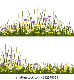 Wild flower meadow, isolated on white background vector illustration