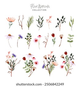 wild flower meadow watercolor collection