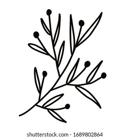 Wild flower on a white background. Simple vector illustration.
