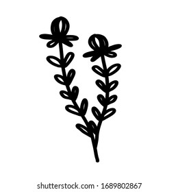 Wild flower on a white background. Simple vector illustration.