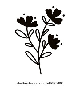 Wild flower on a white background. Simple vector illustration.