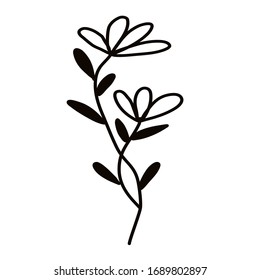 Wild flower on a white background. Simple vector illustration.