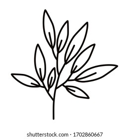 Wild flower on a white background. Simple vector illustration.