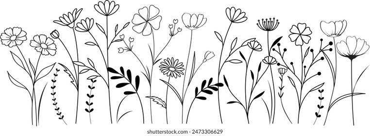 Wild Flower Outline Drawing Coloring Page for Kids and Adults