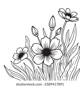 Wild Flower Outline Drawing Coloring Page for Kids and Adults