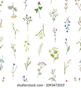 Wild flower pattern. Seamless background with repeating botanical print. Natural spring and summer herbs, floral herbal plants design for fabric and wrapping. Colored flat graphic vector illustration