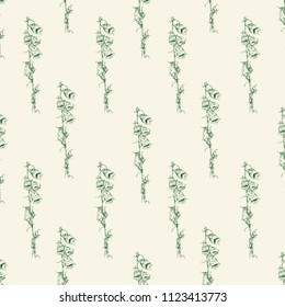 Wild flower vector engraving sketch hand drawn isolated on white, Seamless floral pattern for greeting card, package cosmetic, tea, wedding invitation, restaurant menu, wallpaper, decorative texture