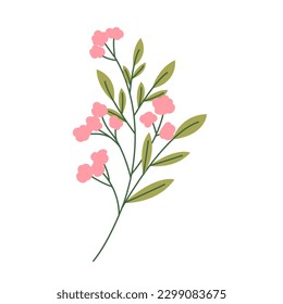 Wild flower vector flat illustration. Decorative floral design elements	