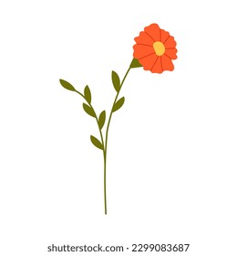 Wild flower vector flat illustration. Decorative floral design elements	