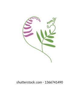 wild flower vector illustration. 
