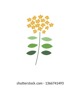 wild flower vector illustration. 