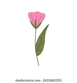 Wild flower vector illustration isolated on white background.