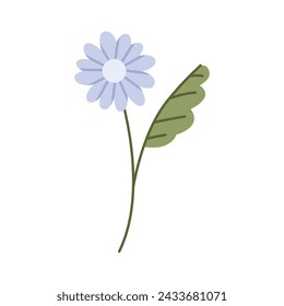 Wild flower vector illustration isolated on white background.