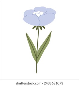 Wild flower vector illustration isolated on white background.