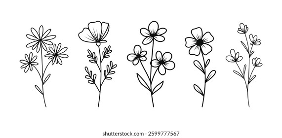 Wild flower vector illustration with white background