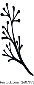 Wild Flower Vector Image On White Background