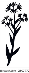 Wild Flower Vector Image On White Background