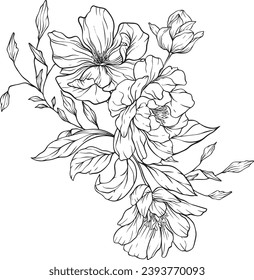 Wild flowers arrangement line art. Hand drawn line floral, leaves branches and blooming. Wedding elegant wildflowers for invitation save the date card. Vector