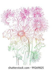 wild flowers background, beautiful vector floral illustration