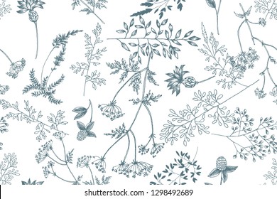 Wild flowers blossom branch seamless pattern. Vintage botanical hand drawn illustration. Spring herbal flowers with different plants of vintage garden and forest. Vector design. Can use for greeting