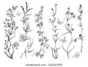 Wild flowers and butterflies Clip art, set of elements for design Vector illustration. In botanical style