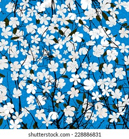 Wild flowers card