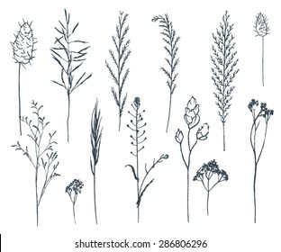 Wild flowers clip art minimalist hand drawn design elements