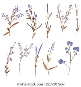Wild flowers collection. Big set of floral blossom elements. Branches, leaves, herbs, plants. Garden, meadow, field collection leaf, foliage, branches. Bloom vector illustration isolated on white