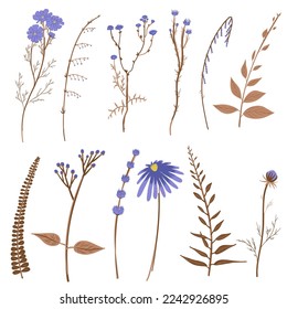 Colección de flores silvestres. Gran conjunto de elementos florales. Ramas, hojas, hierbas, plantas. Jardín, pradera, hoja de colección de campo, follaje, ramas. Ilustración vectorial Bloom aislada en blanco