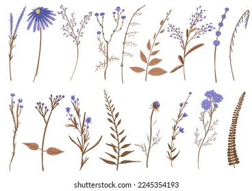 Wild flowers collection. Big set of floral blossom elements. Branches, leaves, herbs, plants. Garden, meadow, field collection leaf, foliage, branches. Bloom vector illustration isolated on white