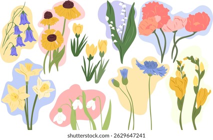 Wild flowers collection. Vector flowers. Spring time with botanical elements. Postcard, icons. Illustration isolated on white background