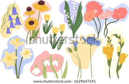 Wild flowers collection. Vector flowers. Spring time with botanical elements. Postcard, icons. Illustration isolated on white background