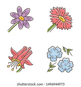 Wild flowers color icons set. Coreopsis, crimson columbine, blue flax, blanket flower. Blooming wildflowers. Spring blossom. Field, meadow herbaceous plants. Isolated vector illustrations