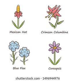 Wild flowers color icons set. Mexican hat, crimson columbia, blue flax, coreopsis. California flora with name inscription. Blooming wildflowers, weed. Field plants. Isolated vector illustrations