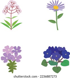 Iconos vectoriales de colores de flores silvestres