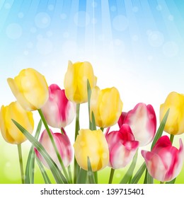 Wild flowers covered with dew in the sunlight. And also includes EPS 10 vector