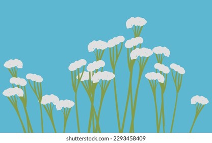 wild flowers cow parsley in vector.design element in flat style.object for landscape.stem and flowers.Forest,ecology,flower bed,bouquet,garden.rustic flowers and plants.