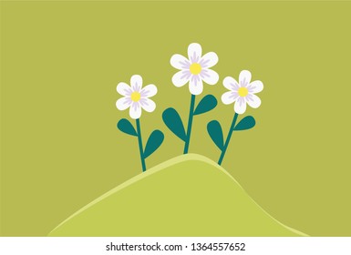 wild flowers dandelion chamomile